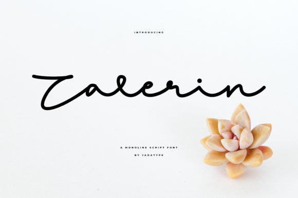 Discover Zalerin: A Perfect Script Font for Elegant Branding