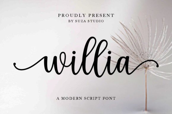 Discovering Willia: A Graceful Script Font for Branding