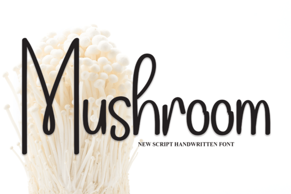 Elevate Your Campaigns with Mushroom: A Charming Script Font