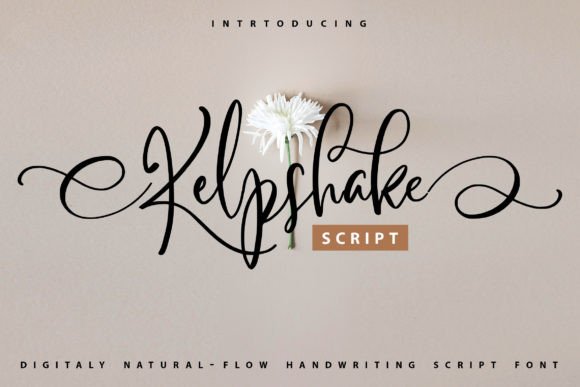 Enhance Your Brand with Kelpshake: A Premium Script Font