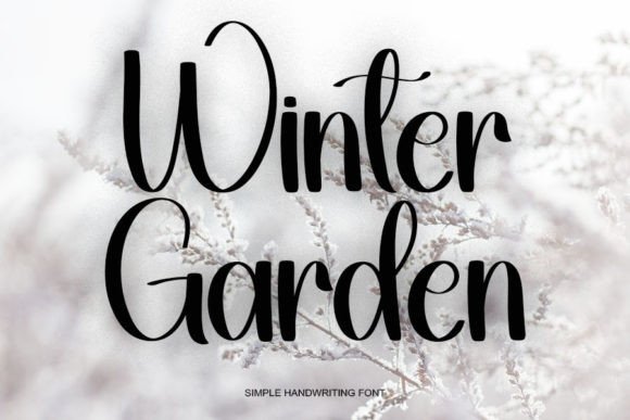 Wintergarden: A Friendly Font for Modern Branding